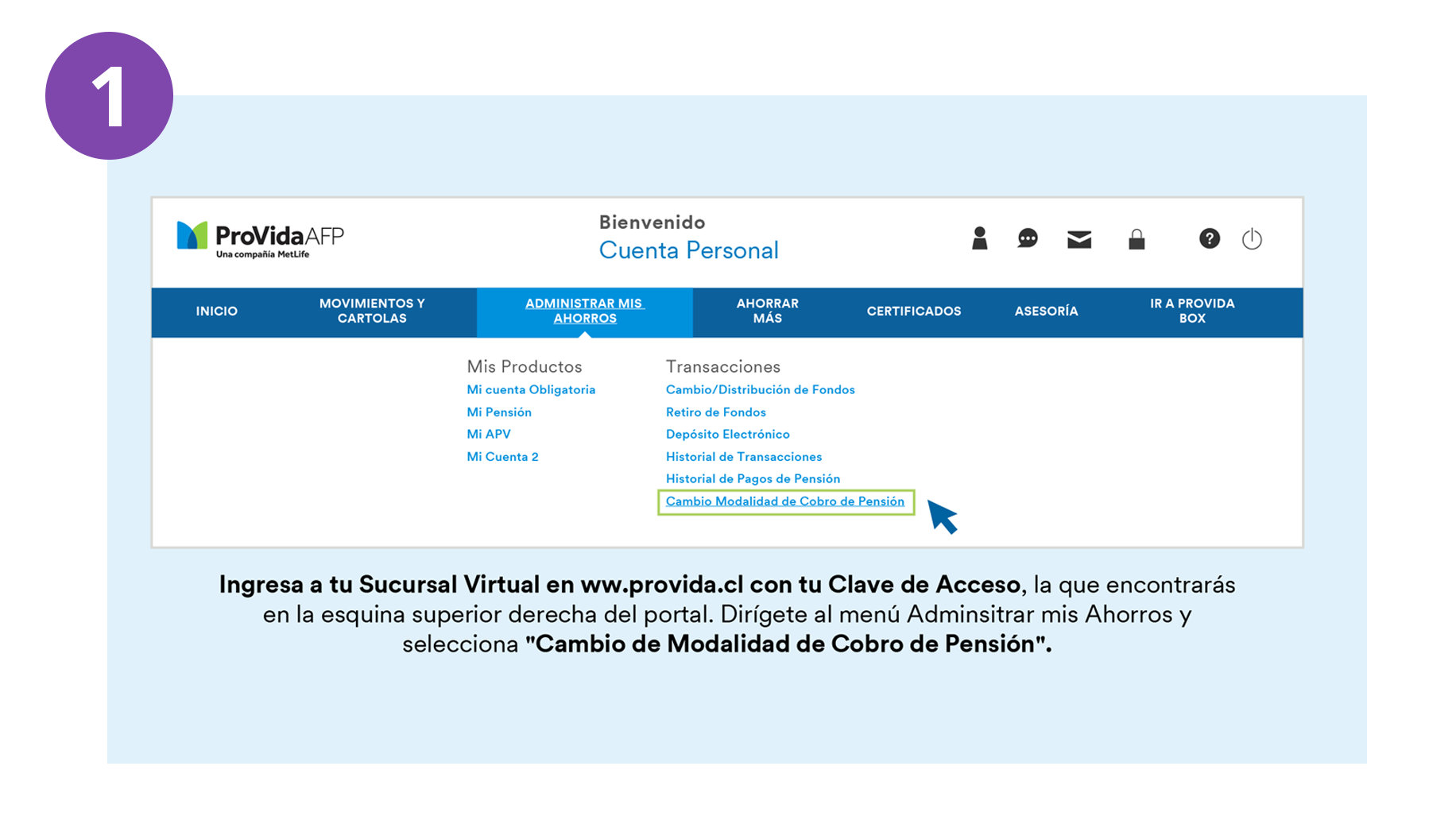 Calendario De Pagos De Pension Provida Afp